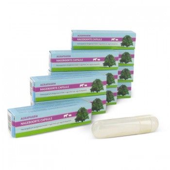 Homeopatische Nageboorte Capsules - 2000