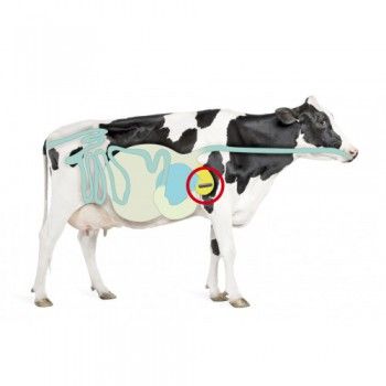 Topro Opti Trace Cow bolus - 2076
