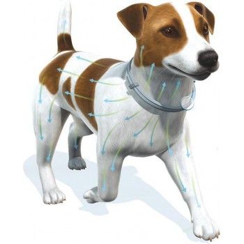 Seresto vlooien en tekenband kleine hond (8 kilo) - 4989