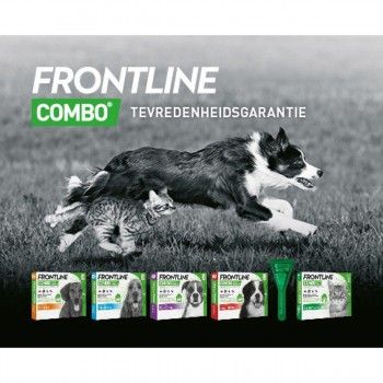 Frontline Combo spot on hond M 10-20 kg 4+2 pipet - 5007