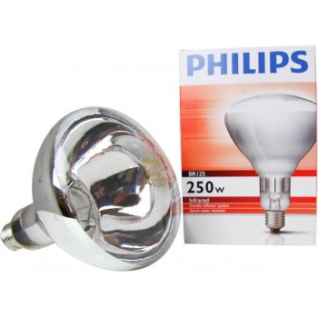 Warmtelamp 250W wit Philips -Melkvee.shop