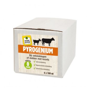 VITALstyle Pyrogenium Compositum SixPack 6 flesjes 100 ml. - 1494