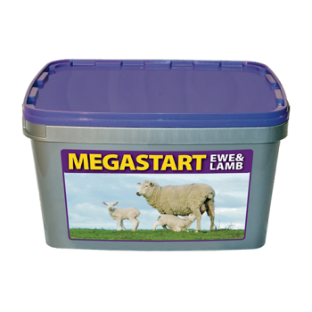 Megastart Ewe & Lamb