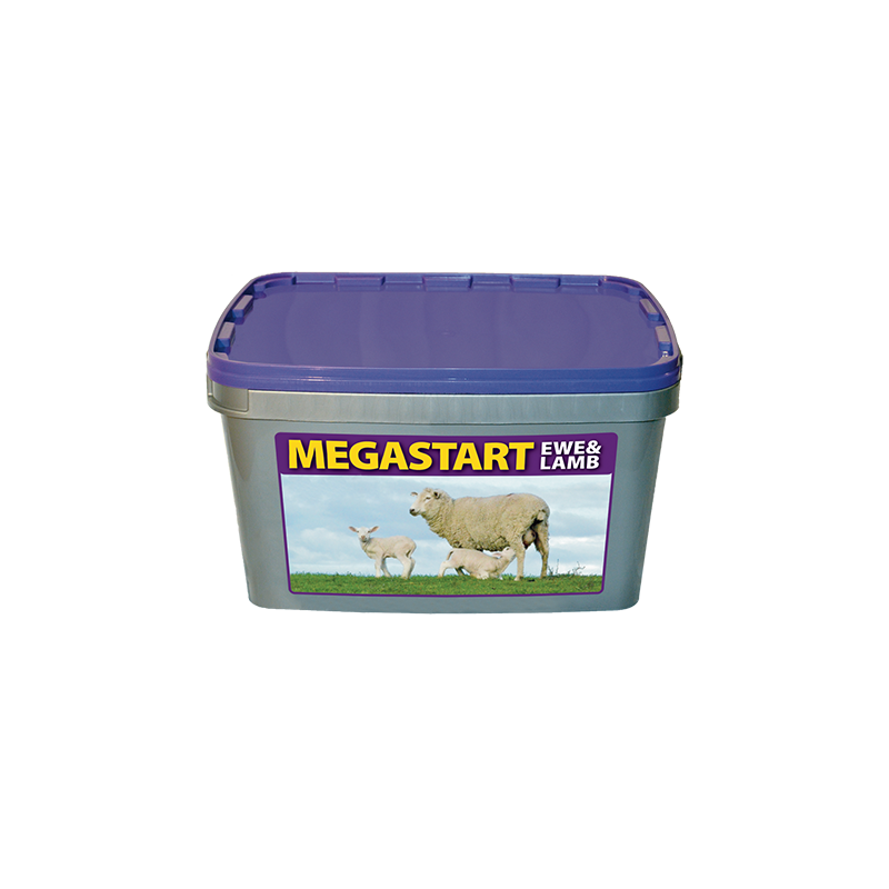 Megastart Ewe & Lamb
