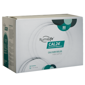 RumiLife CAL24 calcium bolus om een goed calciumgehalte bij melkvee te bevorderen.