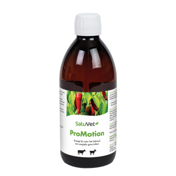 SaluVet ProMotion 500 ml