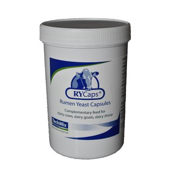Rumen Yeast Capsules helpt koeien die door stress of andere omstandigheden