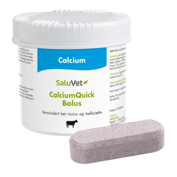 SaluVet CalciumQuick Bolus Rund 6 x 95 gram - 1824