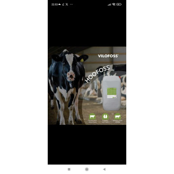 Klauwdesinfectieproduct voor koeien, schapen en varkens te gebruiken in voetbaden.
