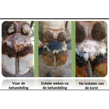 Klauwdesinfectieproduct voor koeien, schapen en varkens te gebruiken in voetbaden.