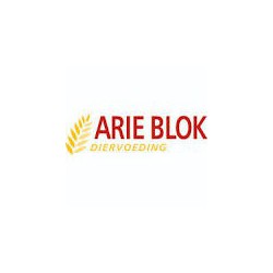 Arie Blok